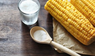 新鲜玉米怎么做玉米汁 新鲜玉米如何做玉米汁