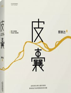 皮囊这本书讲的是什么 如何评价皮囊是一本什么类型书籍