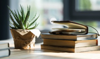 卧室摆什么花好 卧室适合摆什么花好