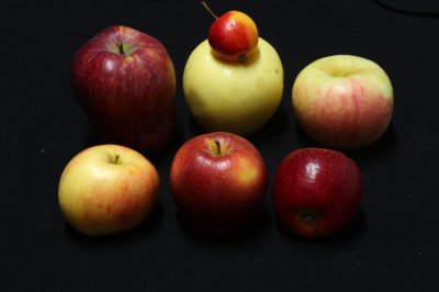 什么品种的苹果好吃 口感又甜又脆的苹果品种推荐