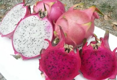 火龙果红心和白心区别图 火龙果红心和白心哪个营养价值高