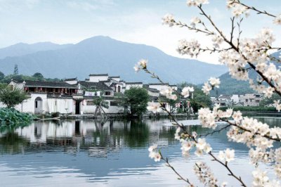 徽菜十大代表菜品及图片 安徽省十大经典特色名菜介绍