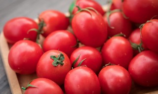 圣女果发芽了还可以吃吗 圣女果发芽了能吃吗