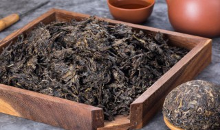 生普洱茶和熟普洱茶的区别是什么 生普洱茶和熟普洱茶的区别有哪些