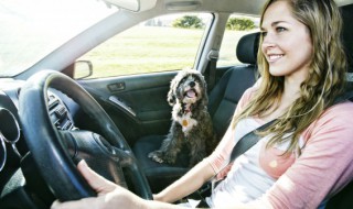 自己去上牌要准备什么 自己去上牌照需要什么手续