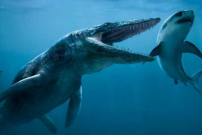 史前最大的海洋生物是什么 沧龙类发现过程及其生活习性