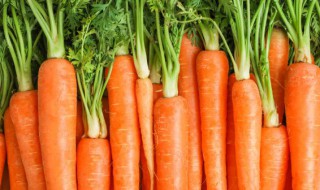胡萝卜和白菜可以一起吃吗 能不能一起吃胡萝卜和白菜