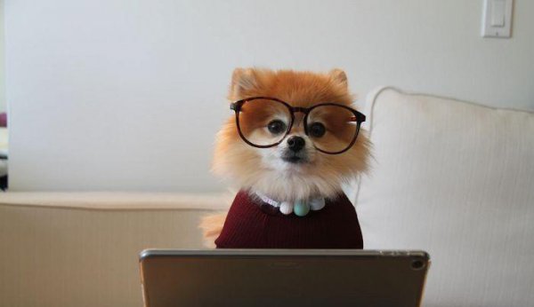 ie浏览器兼容模式怎么设置