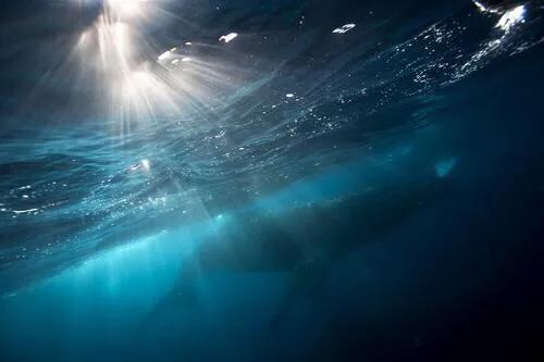 光有了形状是什么效应