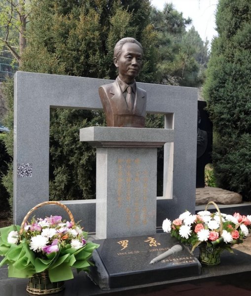 新闻联播主持人罗京个人资料