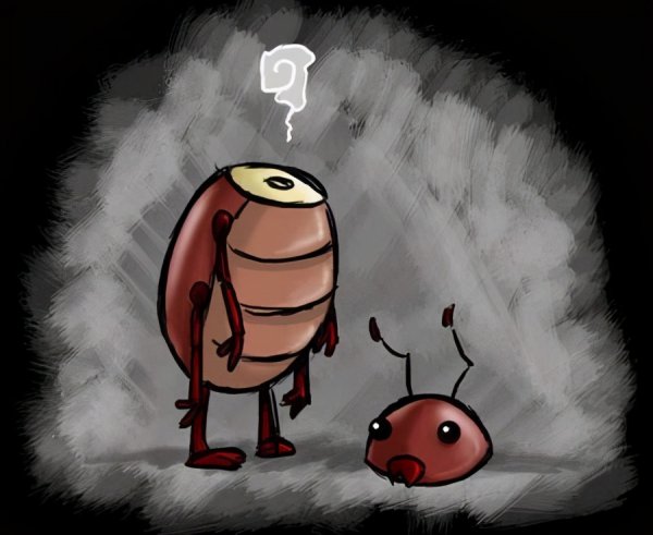 蟑螂为什么不能踩死