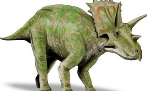 恐龙分类及图片名称