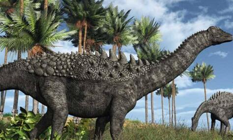 恐龙分类及图片名称