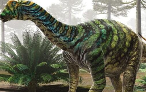 恐龙分类及图片名称