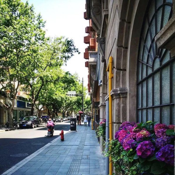 浦西属于上海哪个区