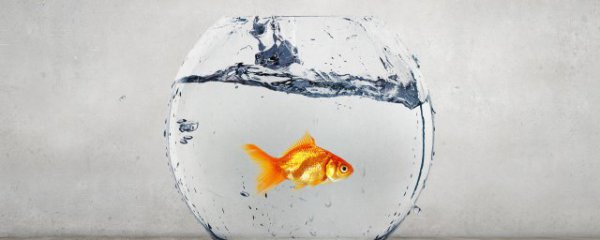 玄关门摆放什么物件好看