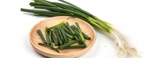 葱和韭菜可以同时吃吗