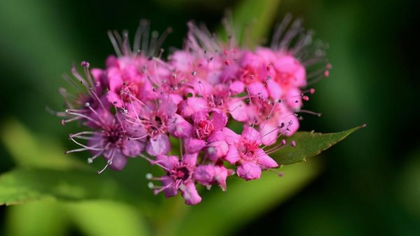 处女座男越来越爱的表现