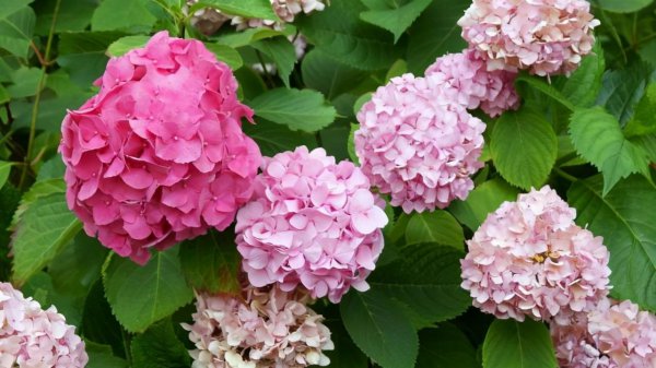 处女座男越来越爱的表现