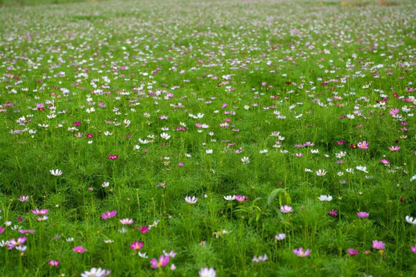 男生都喜欢盯着爱笑的女生吗