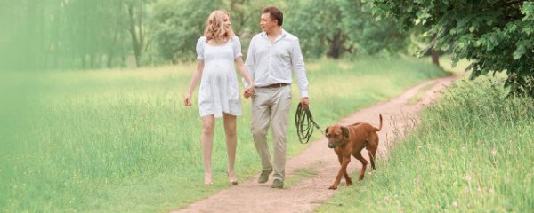 怎么挑合适的宠物