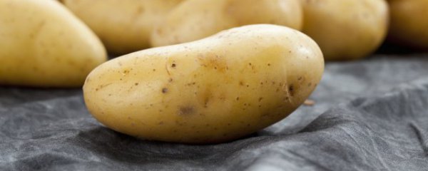 土豆放一个月还能吃吗