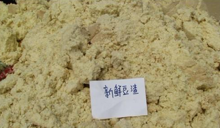 自制猫砂超简单不用猫砂