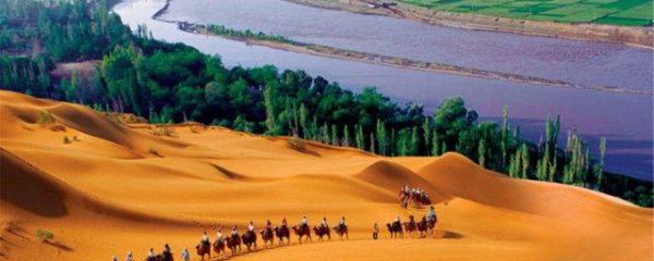 中卫游玩景点有哪些