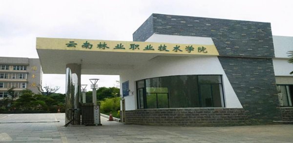 云南省专科学校排名