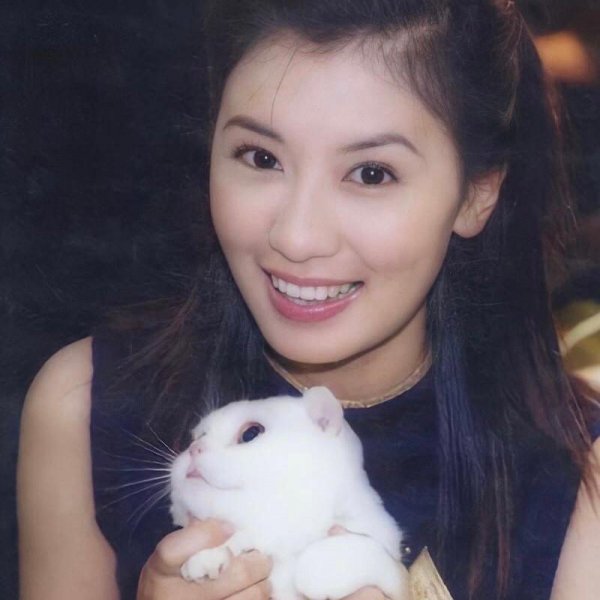 贾静雯个人资料简历