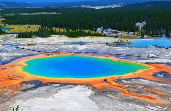 世界最大的火山位于哪里