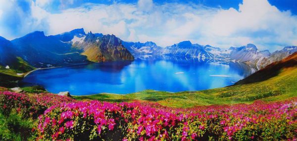 世界最大的火山位于哪里