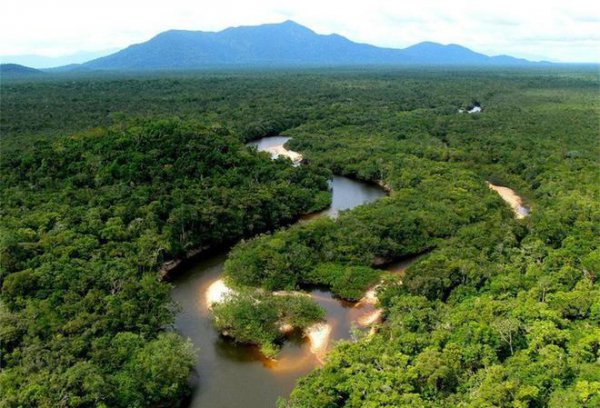 世界第二大河是哪个