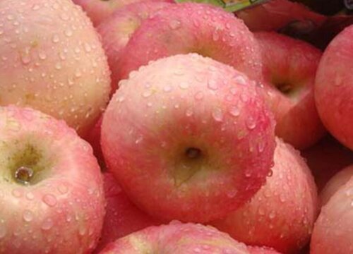 苹果品种有哪些品种好吃味津