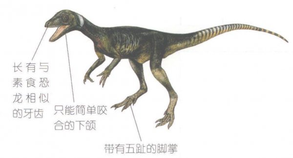 霸王龙的资料简单介绍