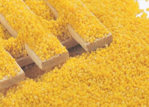 粟米的功效与作用及食用方法