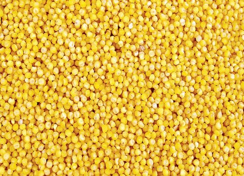 粟米的功效与作用及食用方法