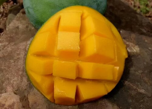 攀枝花芒果哪个品种最好吃