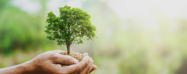 全球气候变暖有什么危害