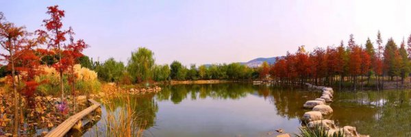 矿大是什么大学的简称