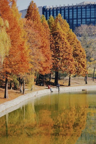 矿大是什么大学的简称