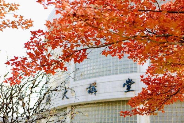 矿大是什么大学的简称