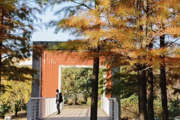 矿大是什么大学的简称