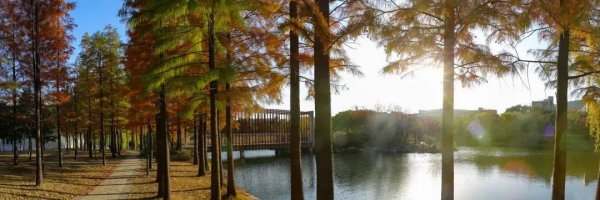 矿大是什么大学的简称