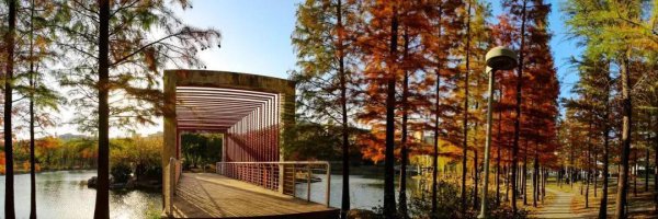 矿大是什么大学的简称