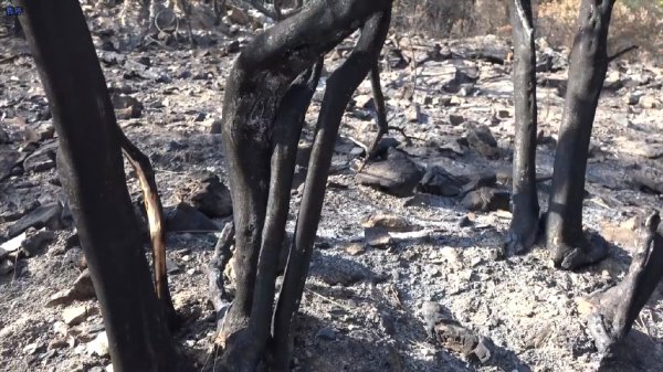富士山在日本哪里