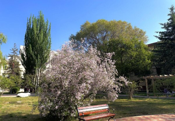 青海有哪些大学院校