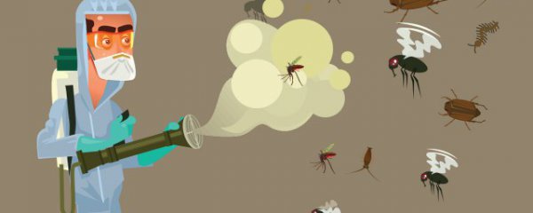 房间苍蝇好多怎么去除