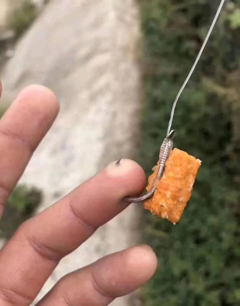 有口打不到鱼怎么回事