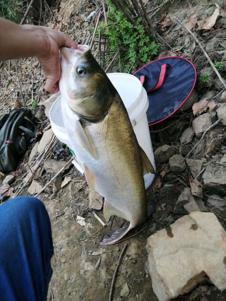 有口打不到鱼怎么回事